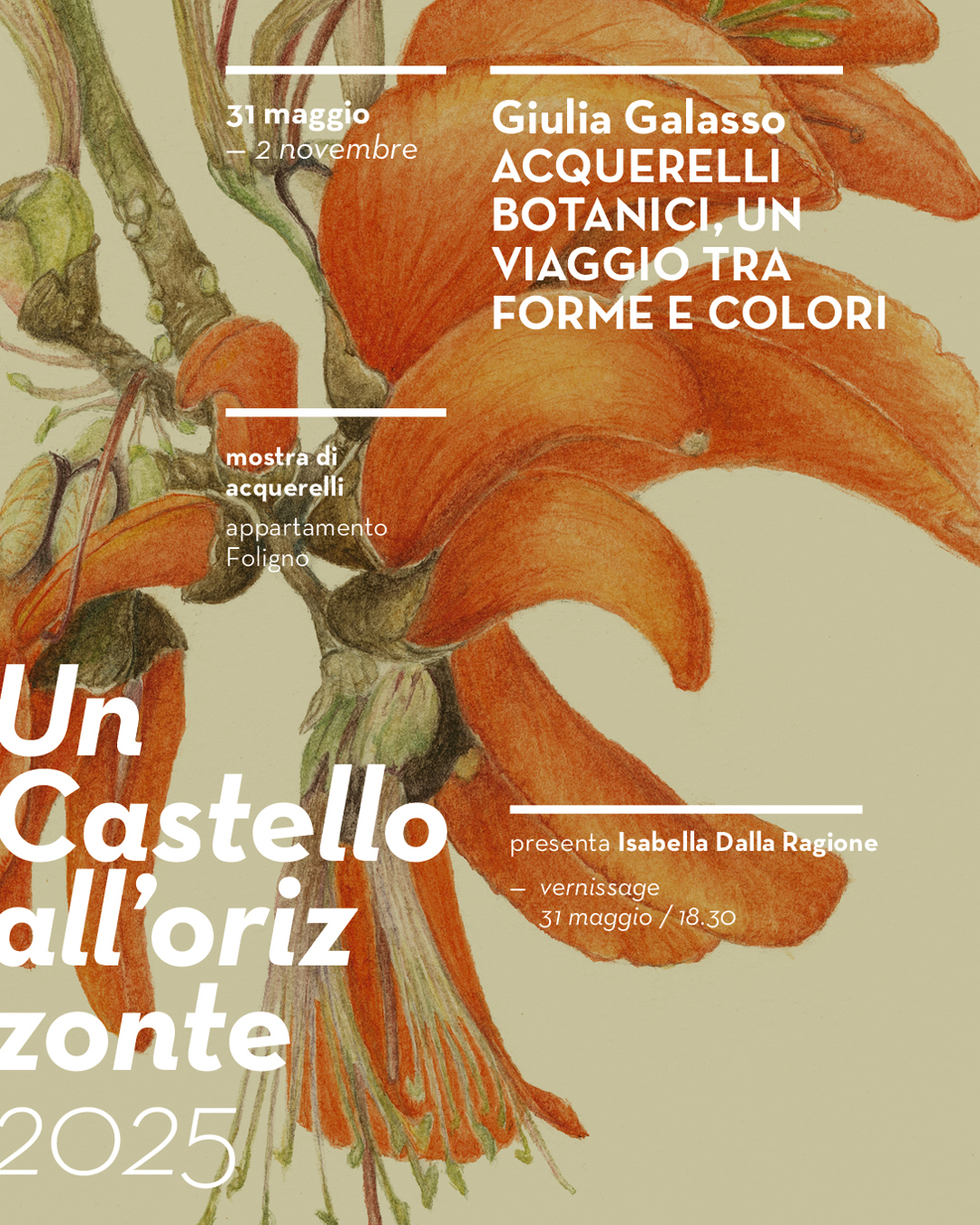 Giulia Galasso: acquerelli botanici